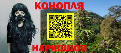 крисы Янаул